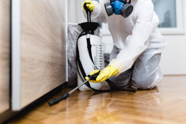 Best Mosquito Control Services  in Tequesta, FL