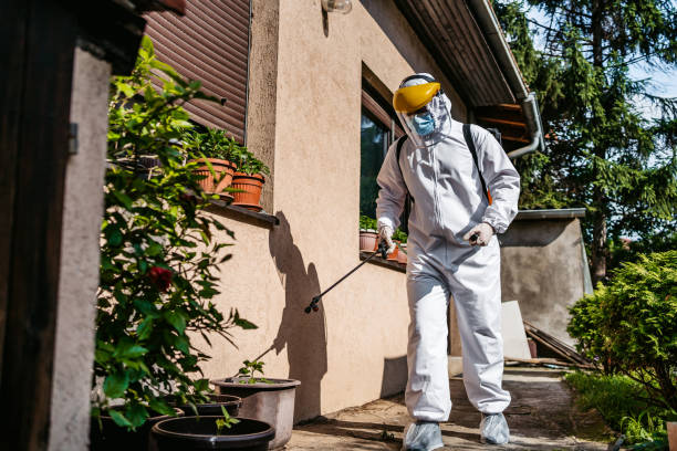 Best Pest Removal Services  in Tequesta, FL