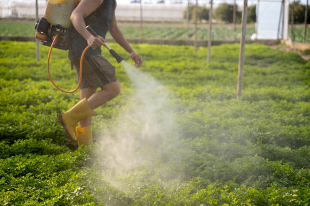 Best Ant Control Services  in Tequesta, FL