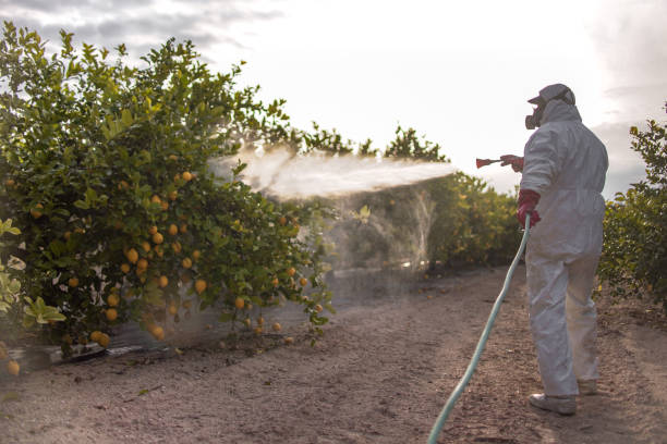 Best Emergency Pest Control  in Tequesta, FL