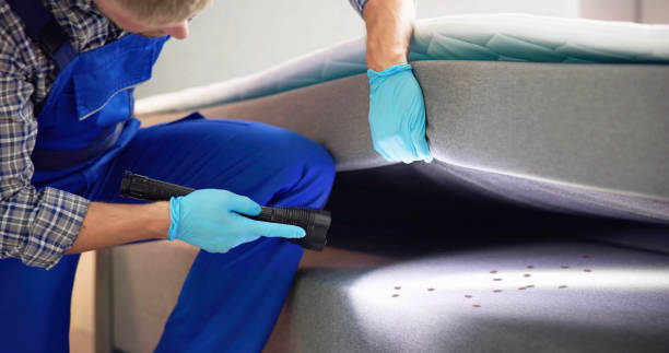 Best Bed Bug Extermination  in Tequesta, FL