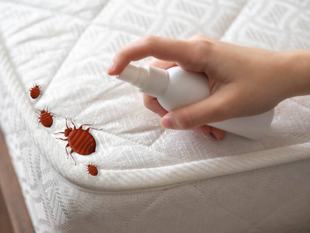 Best Emergency Pest Control  in Tequesta, FL