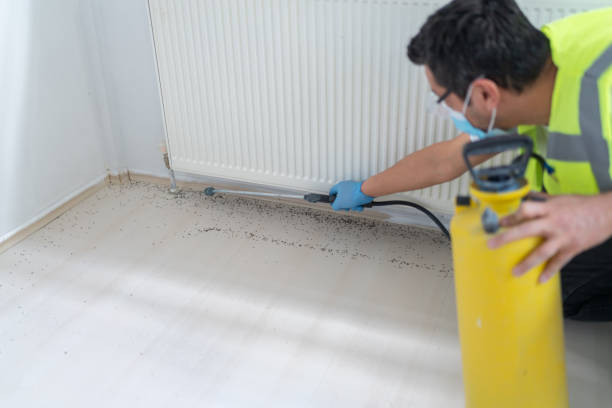 Pest Control for Restaurants in Tequesta, FL