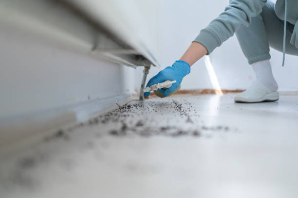 Pest Control Cost in Tequesta, FL